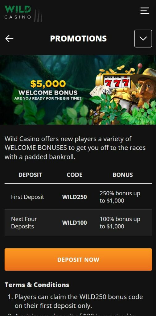 Wild Casino HotTo Step 1 Welcome Bonus Promotion Page